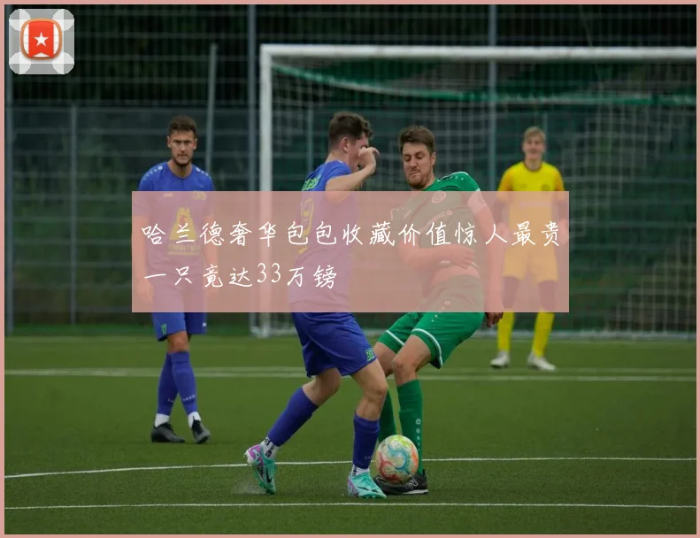 哈兰德奢华包包收藏价值惊人最贵一只竟达33万镑